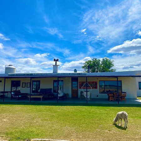 Estancia Tatay Trelew Zewnętrze zdjęcie