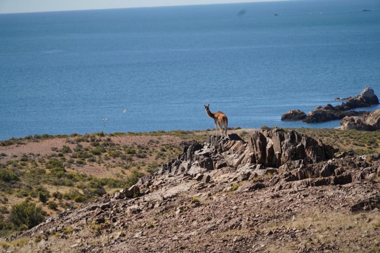 Estancia Tatay Trelew Zewnętrze zdjęcie
