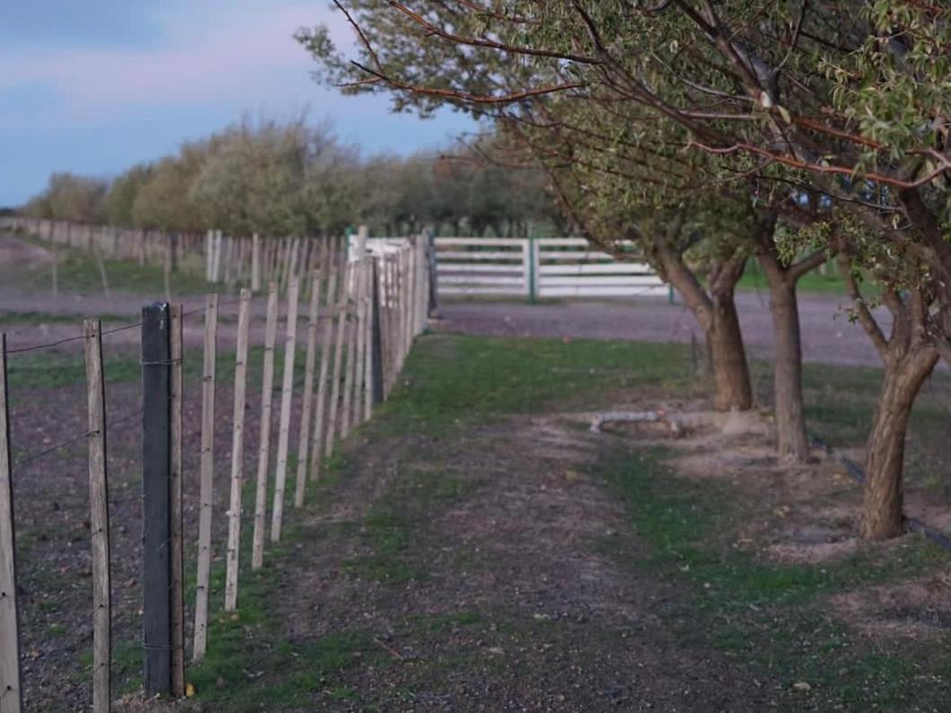 Estancia Tatay Trelew Zewnętrze zdjęcie