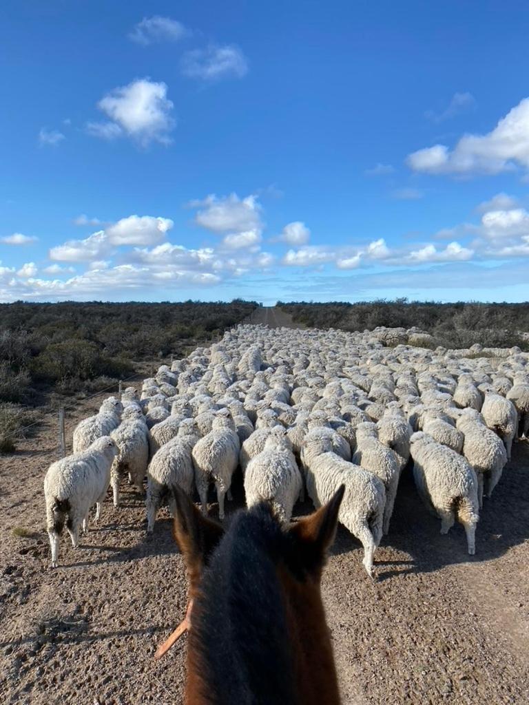 Estancia Tatay Trelew Zewnętrze zdjęcie
